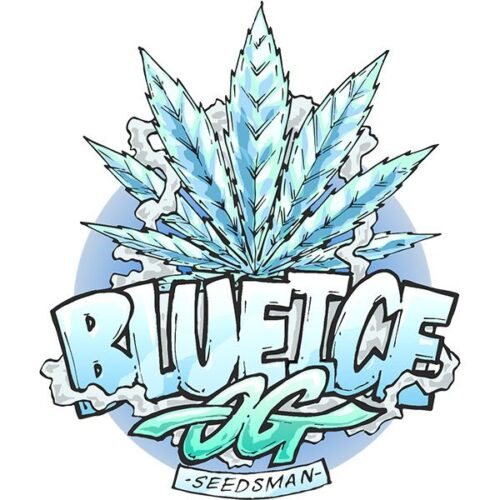 Dope Breeders - SEEDSMAN SEEDS Blue Ice OG Image