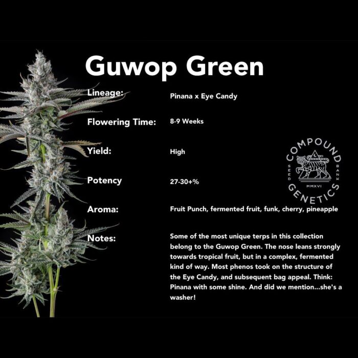 Guwop Green - Image 4