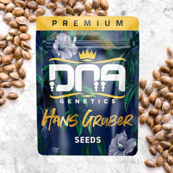 Dope Breeders - DNA Genetics Hans Gruber Image