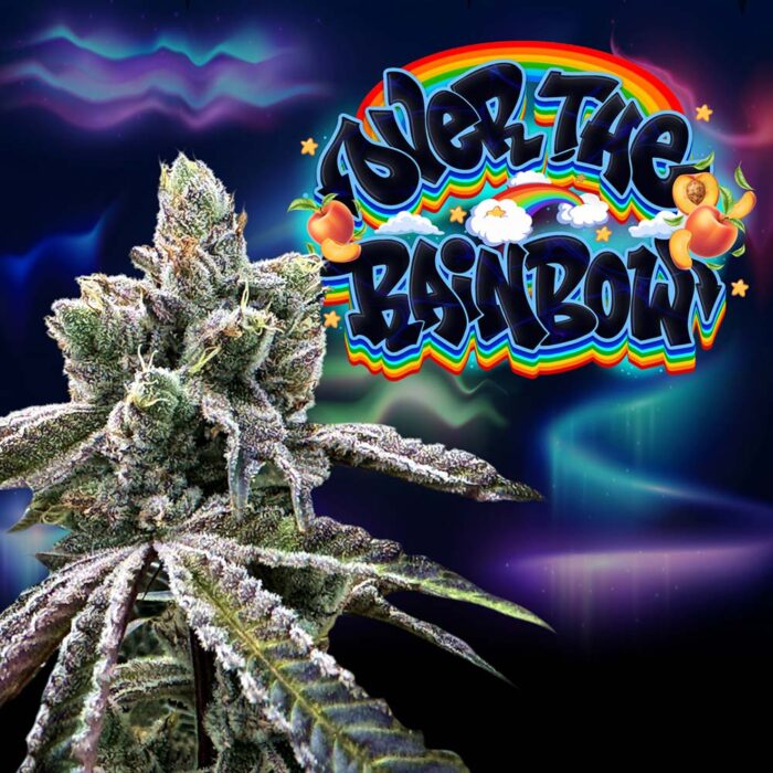 Dope Breeders - Perfect Tree Over The Rainbow Image