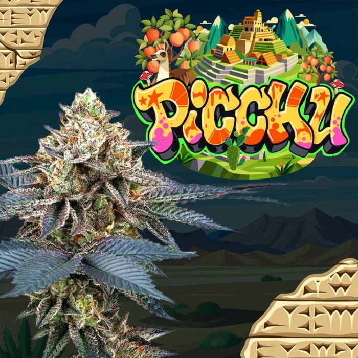 Dope Breeders - Perfect Tree Picchu Image