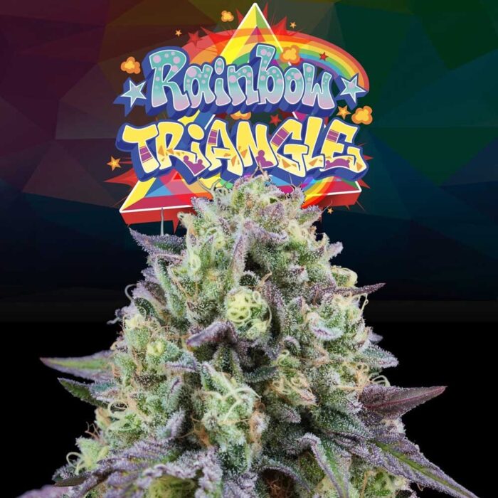 Dope Breeders - Perfect Tree Rainbow Triangle Image
