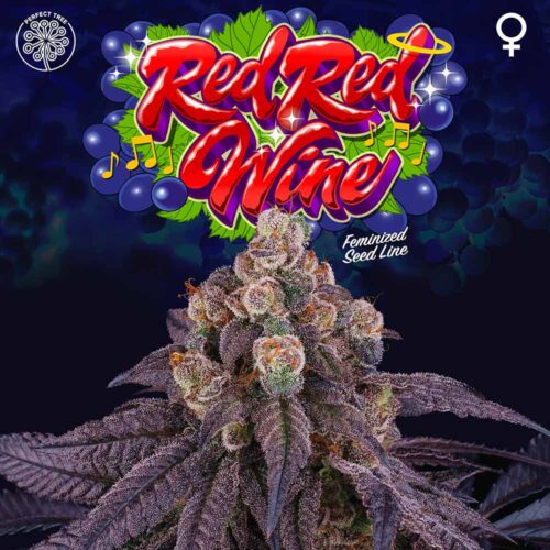 Dope Breeders - Perfect Tree Red Red Wine Image