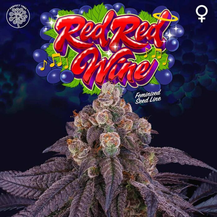 Dope Breeders - Perfect Tree Red Red Wine Image