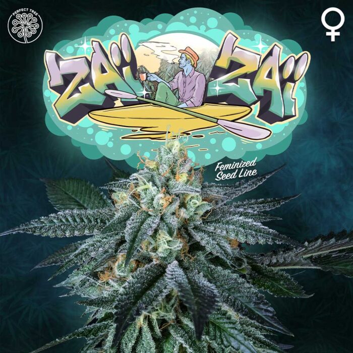 Dope Breeders - Perfect Tree ZaiZai Image